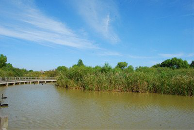 東營水城旅游運營有限公司鹽電票務系統(tǒng)采購項目